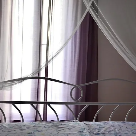 Ribar 公寓 伯德古拉